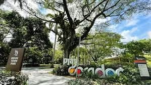 Bedok Town Park